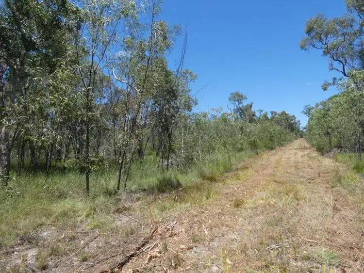Fifth view of Homely rural property listing, Lot 135 Capricornia Drive, Deepwater QLD 4674