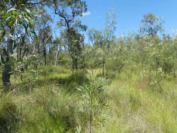 Sixth view of Homely rural property listing, Lot 135 Capricornia Drive, Deepwater QLD 4674