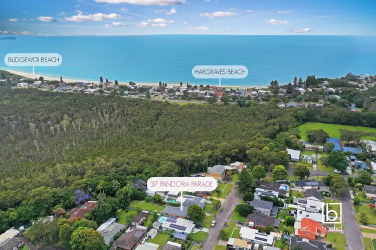 Fourth view of Homely house listing, 37 Pandora Parade, Noraville NSW 2263
