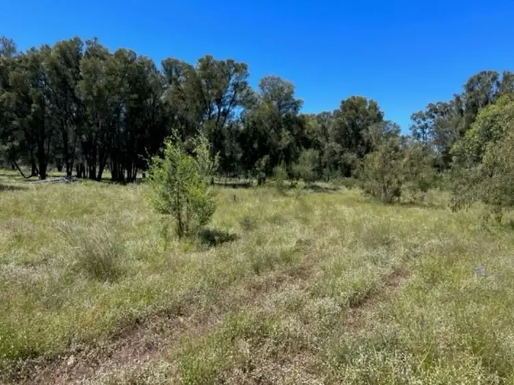 Sixth view of Homely rural property listing, Waterfall, Yarrie Lake NSW 2388