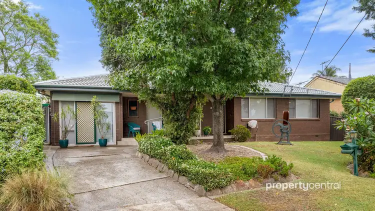 31 Jean Street, Kingswood NSW 2747