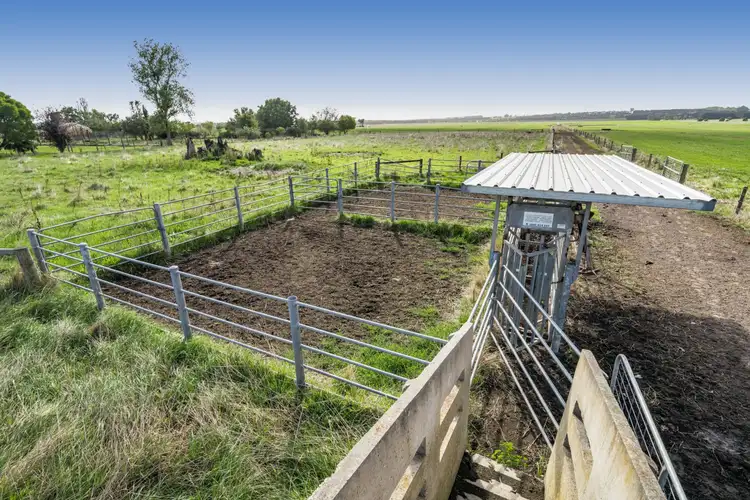 Third view of Homely rural property listing, 120 Irrewillipe-Pirron Yallock Road, Irrewillipe VIC 3249