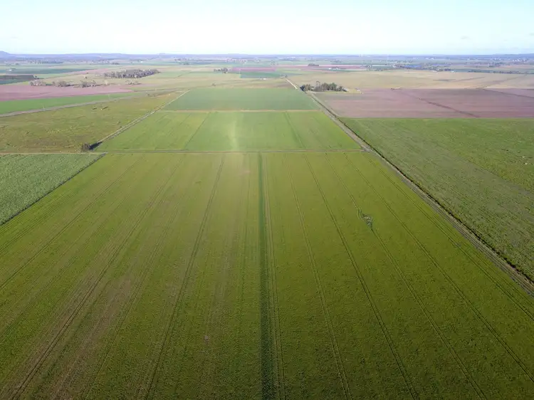 Main view of Homely rural property listing, 323 Swan Bay Road, East Coraki NSW 2471