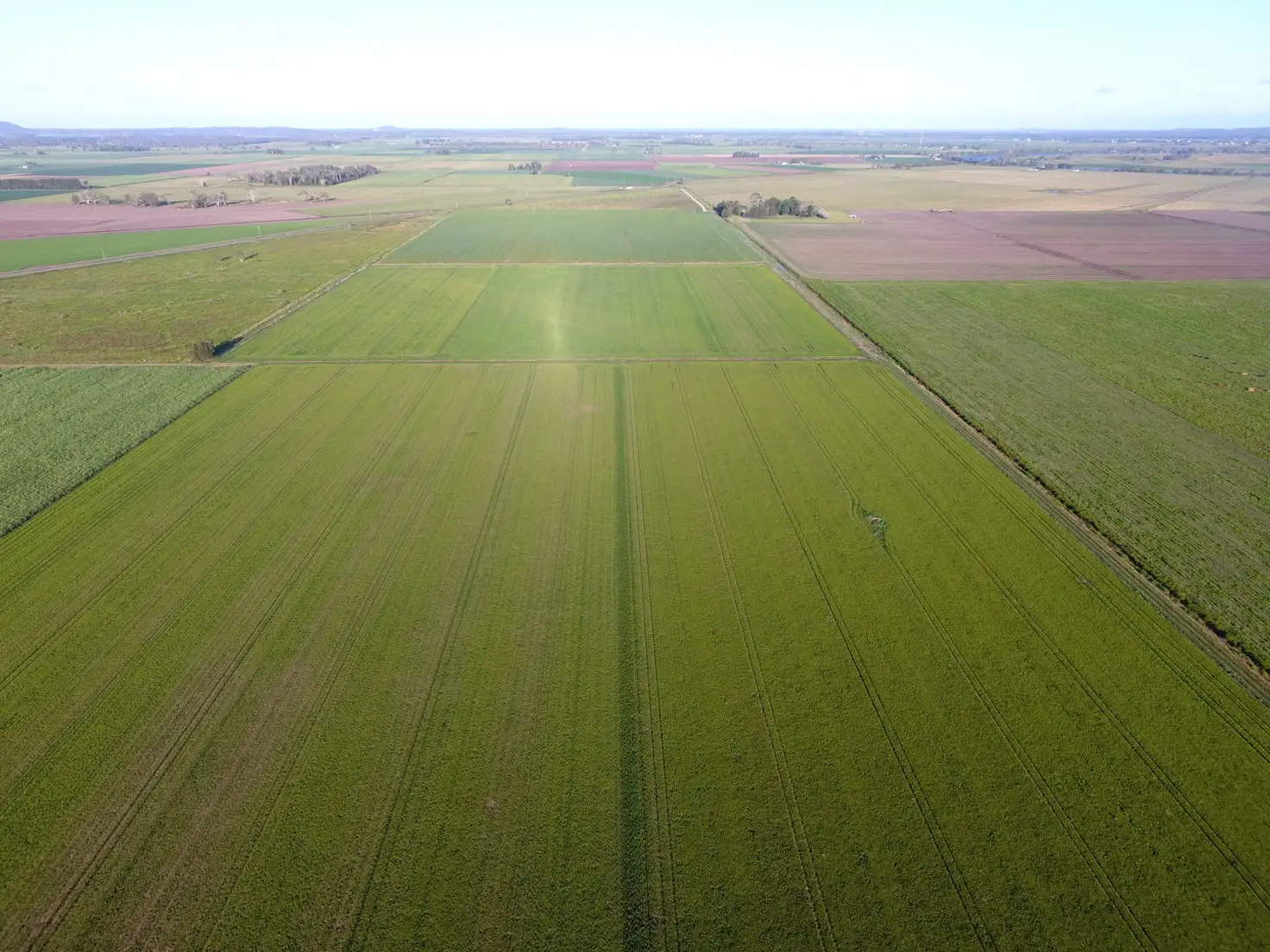 Main view of Homely rural property listing, 323 Swan Bay Road, East Coraki NSW 2471