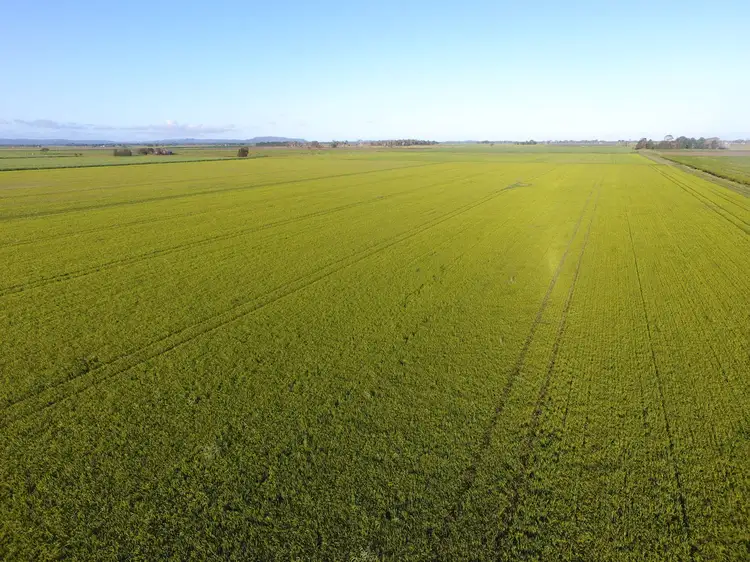 Seventh view of Homely rural property listing, 323 Swan Bay Road, East Coraki NSW 2471