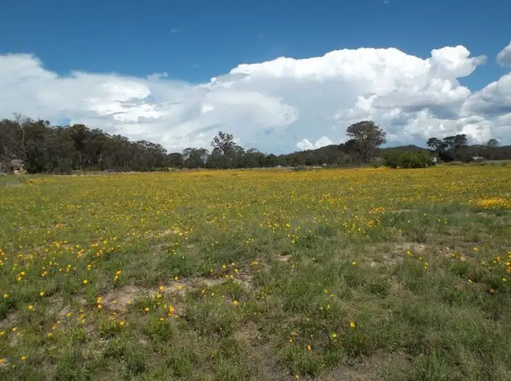 Main view of Homely land listing, Lots 2 & 4 Pitts Street, Stanthorpe QLD 4380