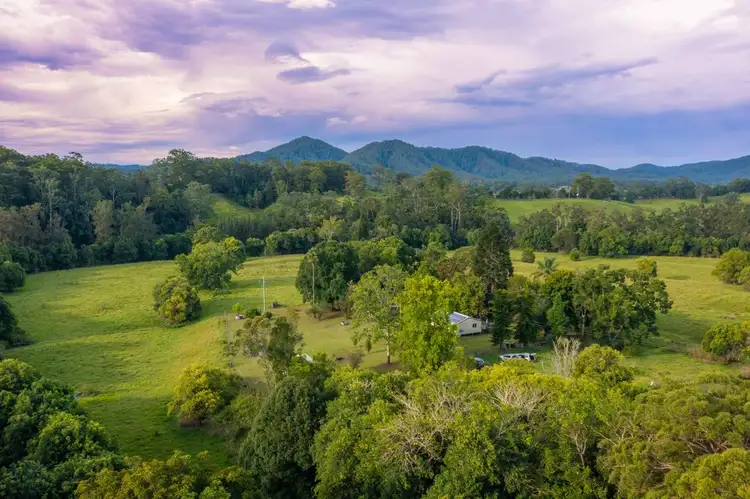 Seventh view of Homely house listing, 114 Graces Road, Bowraville NSW 2449