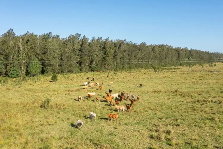Third view of Homely rural property listing, 930 Maria River Road, Crescent Head NSW 2440