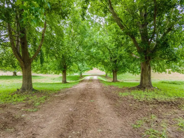 Third view of Homely rural property listing, 937 North Bank Road, Bellingen NSW 2454