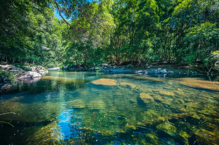 Fourth view of Homely rural property listing, 691 Promised Land Road, Bellingen NSW 2454