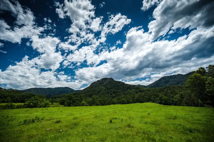 Sixth view of Homely rural property listing, 691 Promised Land Road, Bellingen NSW 2454