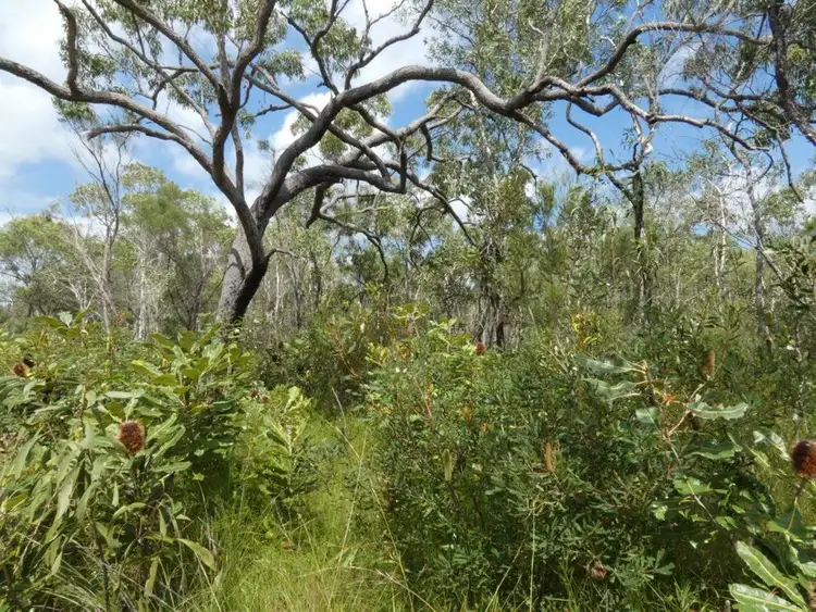 Fourth view of Homely rural property listing, Lot 11 Lindy Drive, Rules Beach QLD 4674