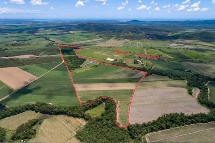 101 Harris Rd, Koumala QLD 4738