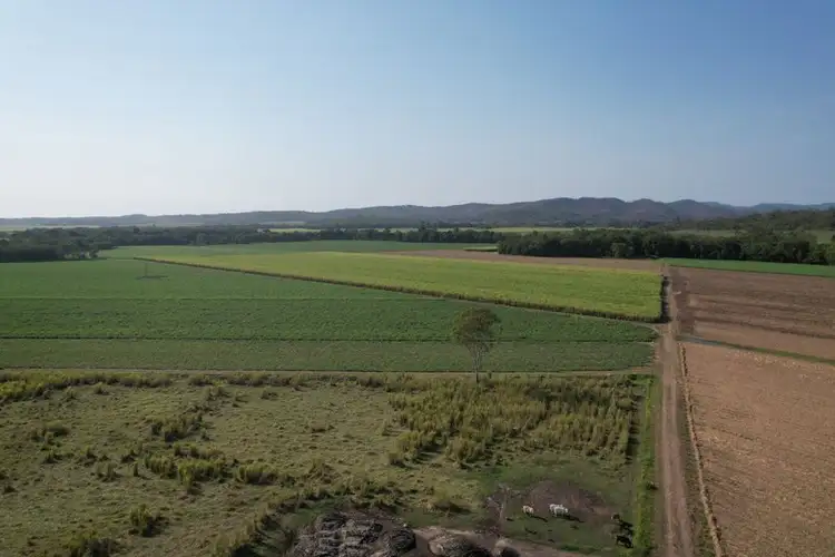 Sixth view of Homely rural property listing, 101 Harris Rd, Koumala QLD 4738