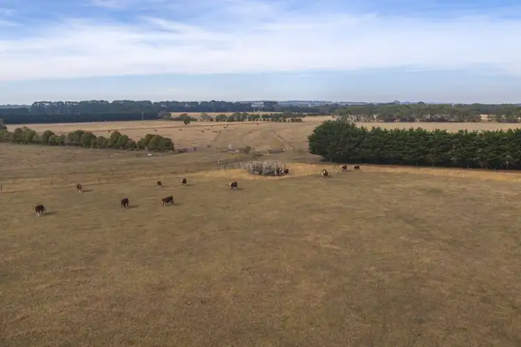 Sixth view of Homely rural property listing, 65 Marshmans Outlet, Moriac VIC 3240