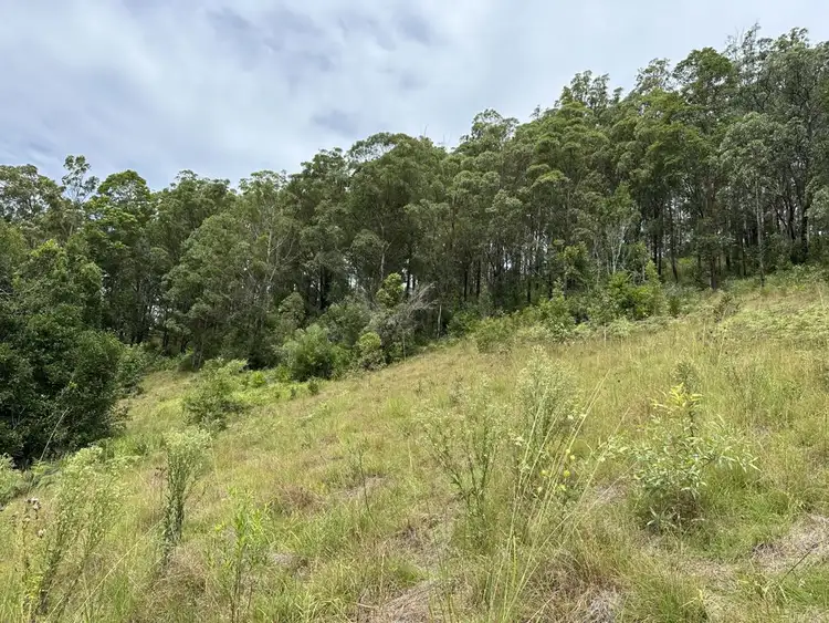 Third view of Homely rural property listing, Lot 11 Five Day Creek Road, Bellbrook NSW 2440