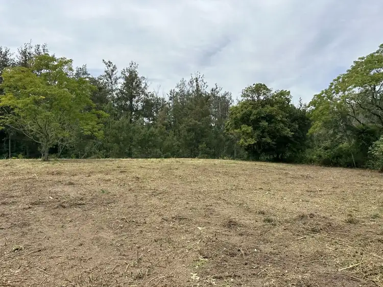 Fifth view of Homely rural property listing, Lot 11 Five Day Creek Road, Bellbrook NSW 2440