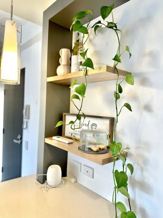 Sixth view of Homely apartment listing, 302/19 Felix Street, Lutwyche QLD 4030