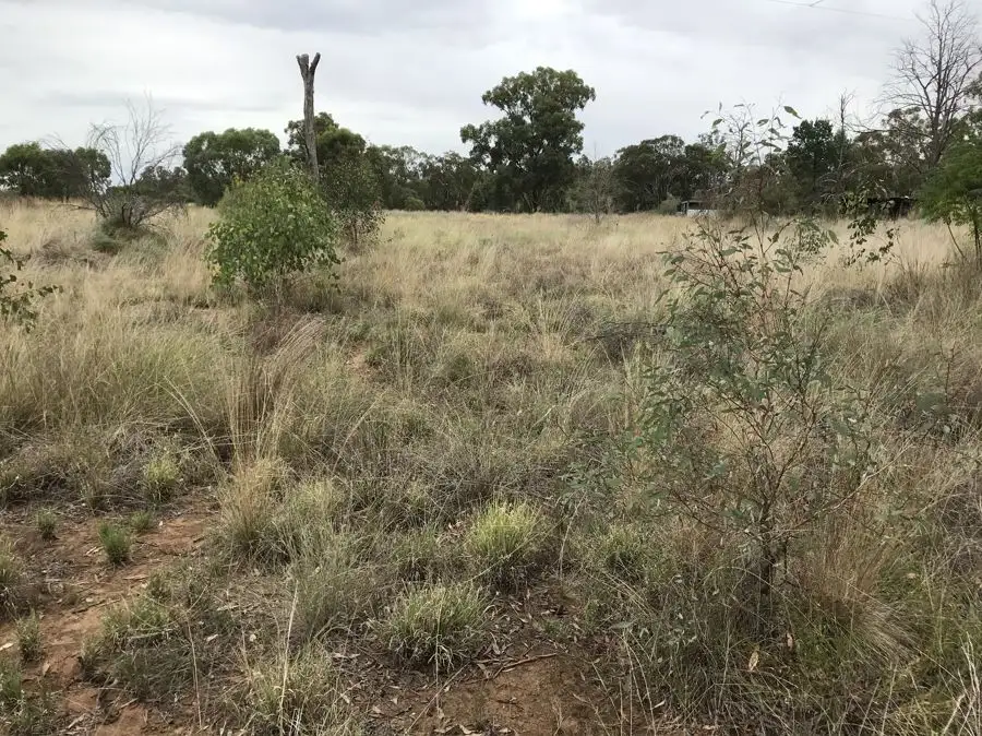 Main view of Homely land listing, 55 Wangmans road, Kenebri NSW 2396