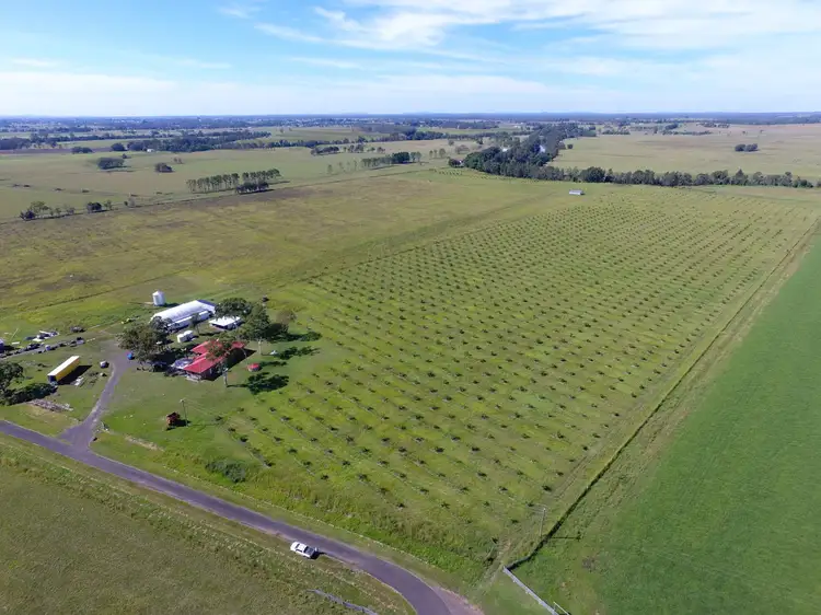 390 Bundocks Road, Casino NSW 2470