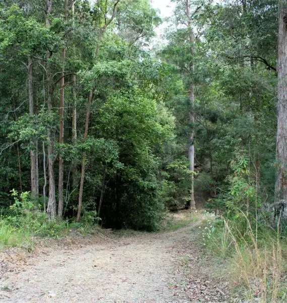 Fourth view of Homely rural property listing, 37 Murphys Road, Upper Corindi NSW 2456