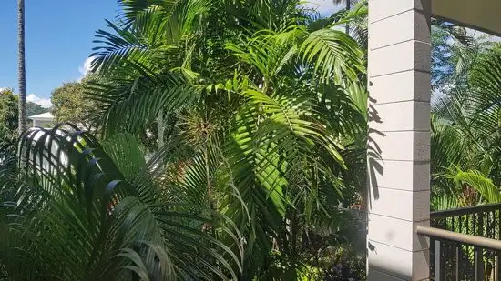 Fifth view of Homely unit listing, 8 83-85 Moore Street, Trinity Beach QLD 4879