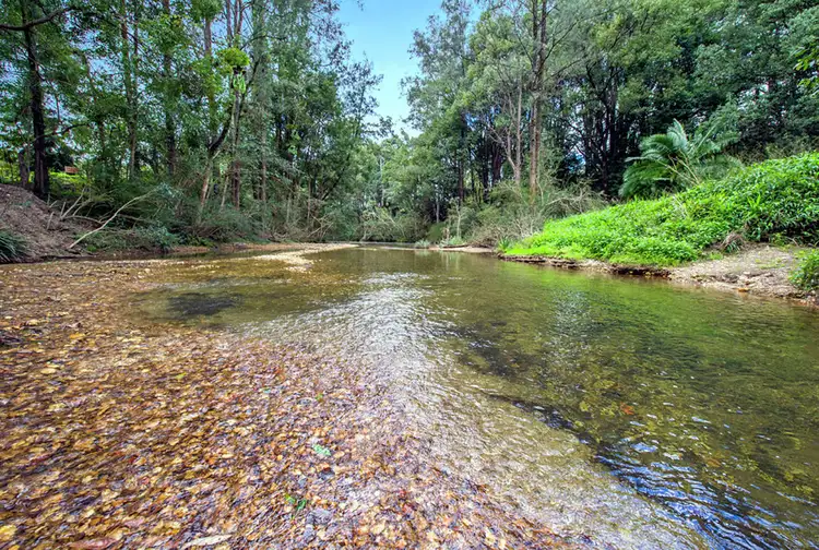 1562 Kalang Road, Bellingen NSW 2454