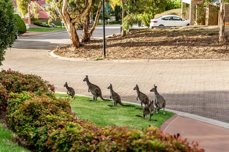 Second view of Homely house listing, 67 Prosperity Way, Athelstone SA 5076