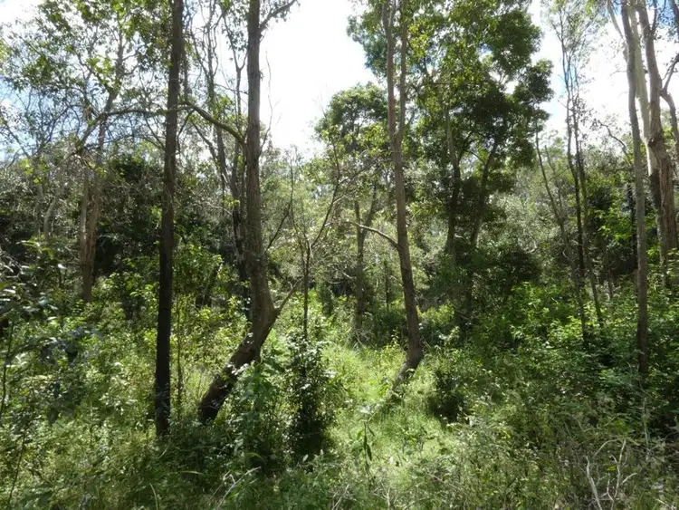 Seventh view of Homely rural property listing, Lot 101 Mollenhagens Road, Rosedale QLD 4674