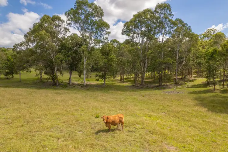 Sixth view of Homely rural property listing, 50-82 Dwane Road, Delaneys Creek QLD 4514