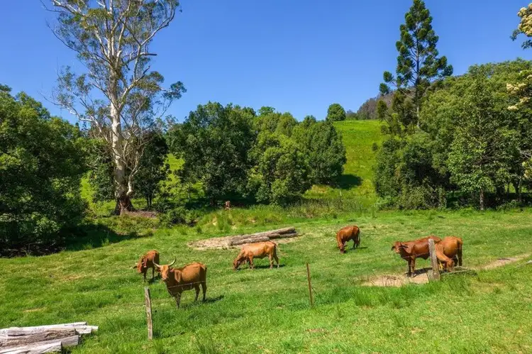Fourth view of Homely house listing, 250 Perseverance Road, Kin Kin QLD 4571