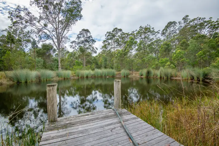 Fourth view of Homely rural property listing, 29 Bostock Road, Tucabia NSW 2462