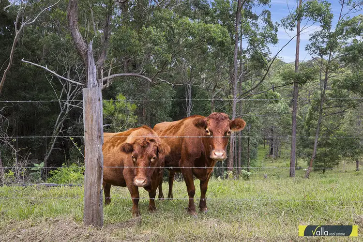 Fifth view of Homely rural property listing, 80 Fuerte Drive, Valla NSW 2448