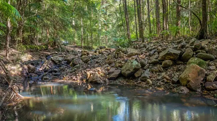 Sixth view of Homely rural property listing, Lot 136 & Lot 138 Boormans Road, Tyalgum NSW 2484