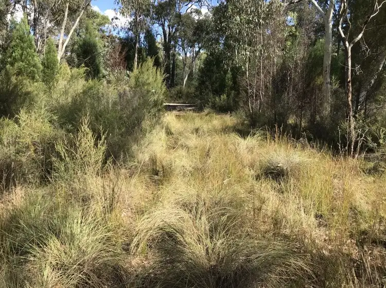 4166 Baradine road, Coonabarabran NSW 2357
