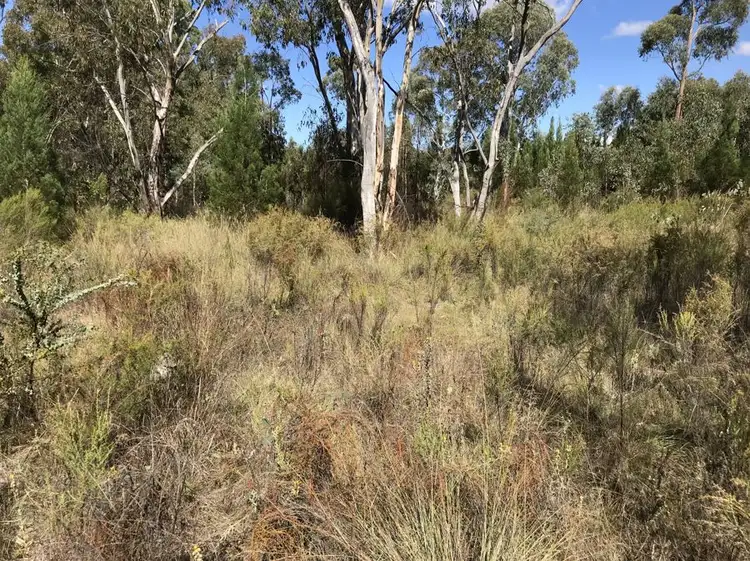 Fourth view of Homely house listing, 4166 Baradine road, Coonabarabran NSW 2357