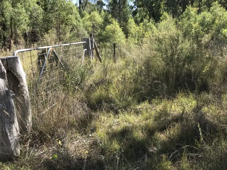Fifth view of Homely house listing, 4166 Baradine road, Coonabarabran NSW 2357