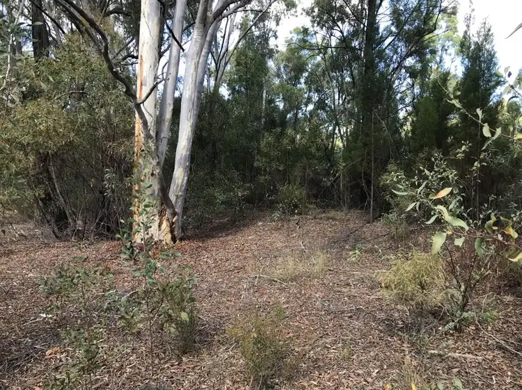 Seventh view of Homely house listing, 4166 Baradine road, Coonabarabran NSW 2357