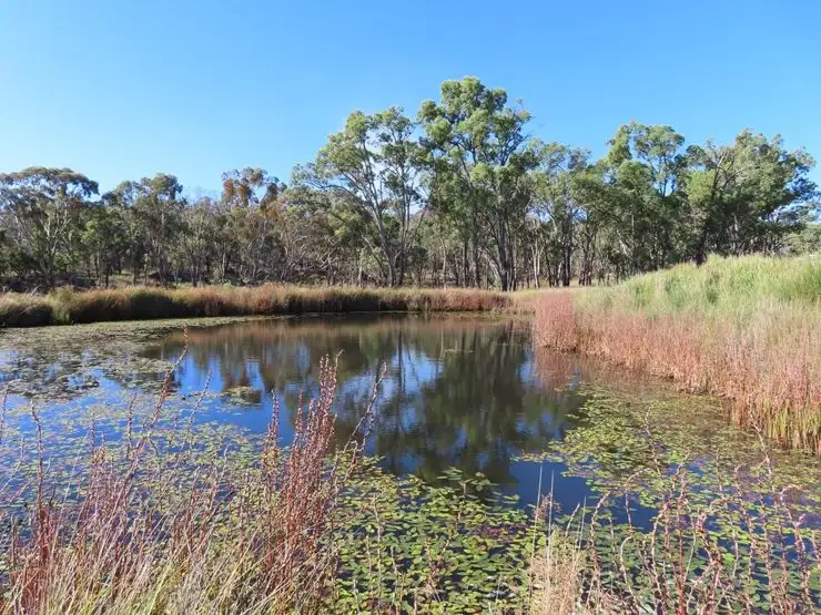 Second view of Homely rural property listing, 487 Bents Road, Ballandean QLD 4382