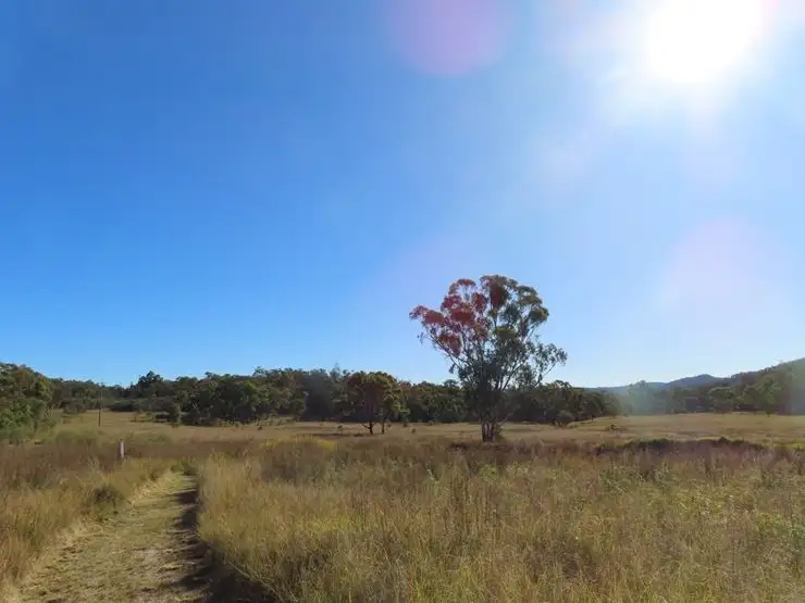 Third view of Homely rural property listing, 487 Bents Road, Ballandean QLD 4382