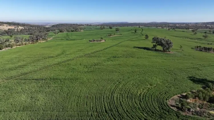 Fifth view of Homely rural property listing, Innesvale, Warialda NSW 2402