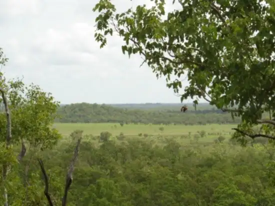 Sixth view of Homely rural property listing, 315 Dorat Rd, Adelaide River NT 846