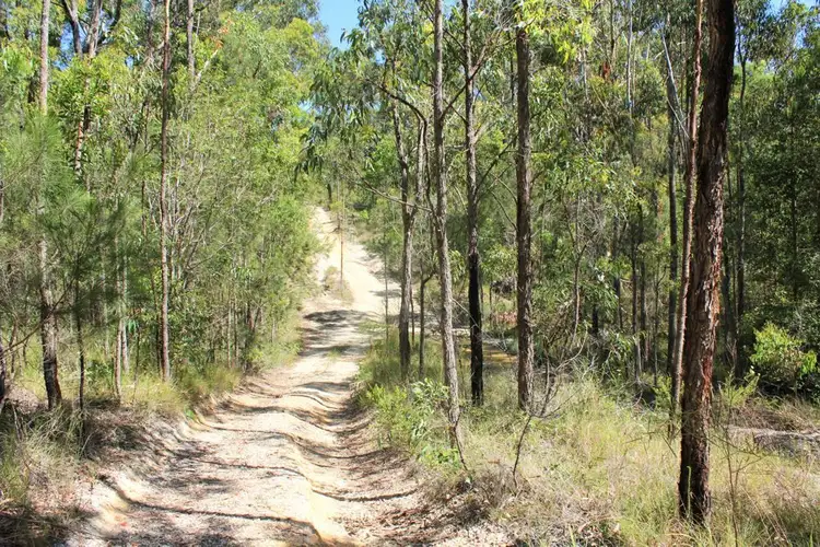 Fifth view of Homely rural property listing, Lot 2, 3850 Pacific Highway, Corindi Beach NSW 2456