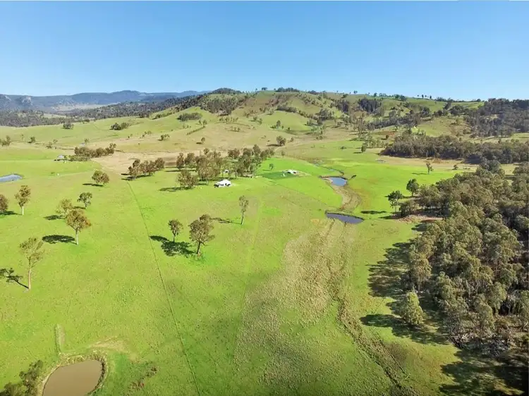 Main view of Homely rural property listing, 603 Snakes Valley Road, Tenterfield NSW 2372