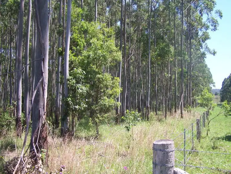 Fifth view of Homely rural property listing, Lot 9 Candoormakh Creek Road, Nabiac NSW 2312