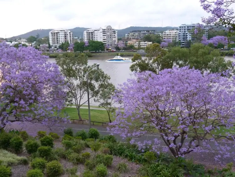 Third view of Homely apartment listing, 5 Duncan Street,, West End QLD 4101