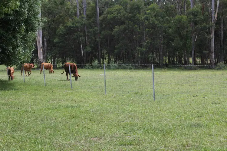 Lots 28 and 30 Bald Knob Tick Gate Road, Halfway Creek NSW 2460