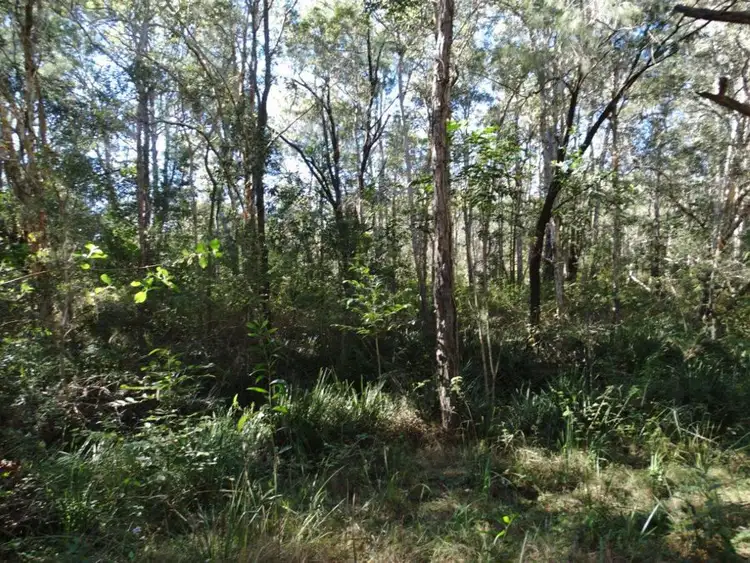 Seventh view of Homely rural property listing, 2153 Tableland Road, Berajondo QLD 4674