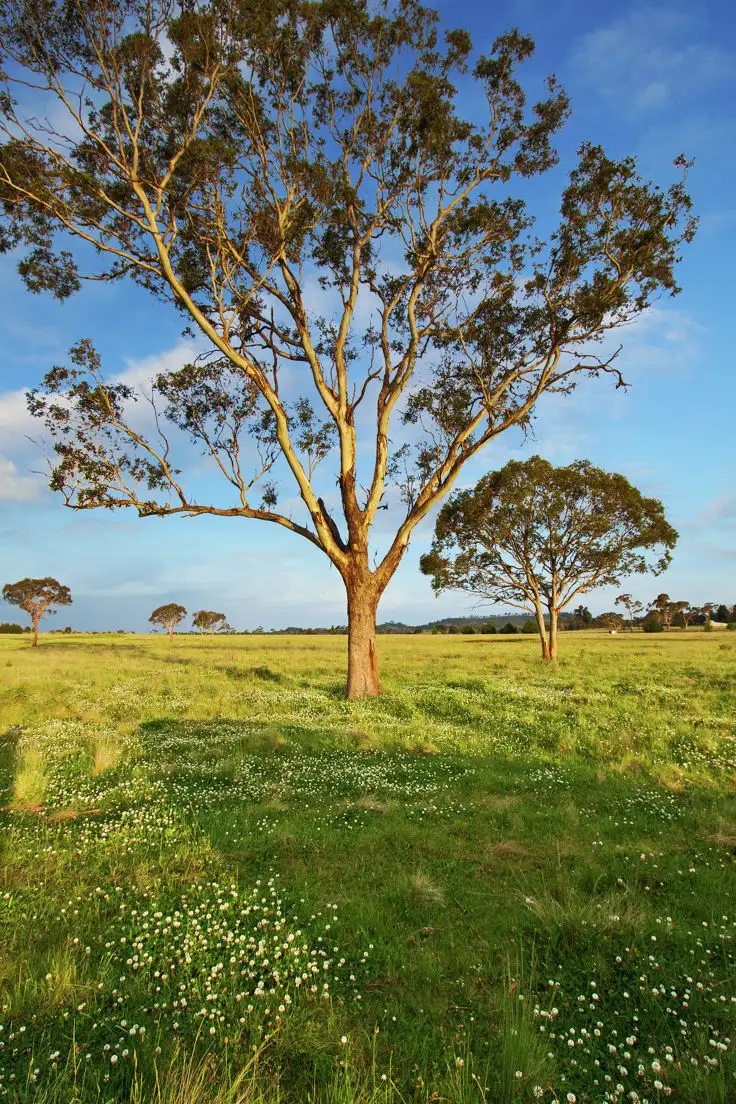 Third view of Homely land listing, Lot 308 Old Gostwyck Park Estate, Armidale NSW 2350