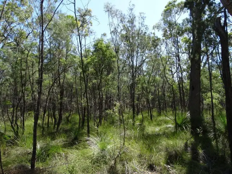 Seventh view of Homely rural property listing, Lot 157 Capricornia Drive, Deepwater QLD 4674